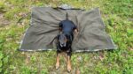 THERMO - Blanket™ / camo - obrazek 5