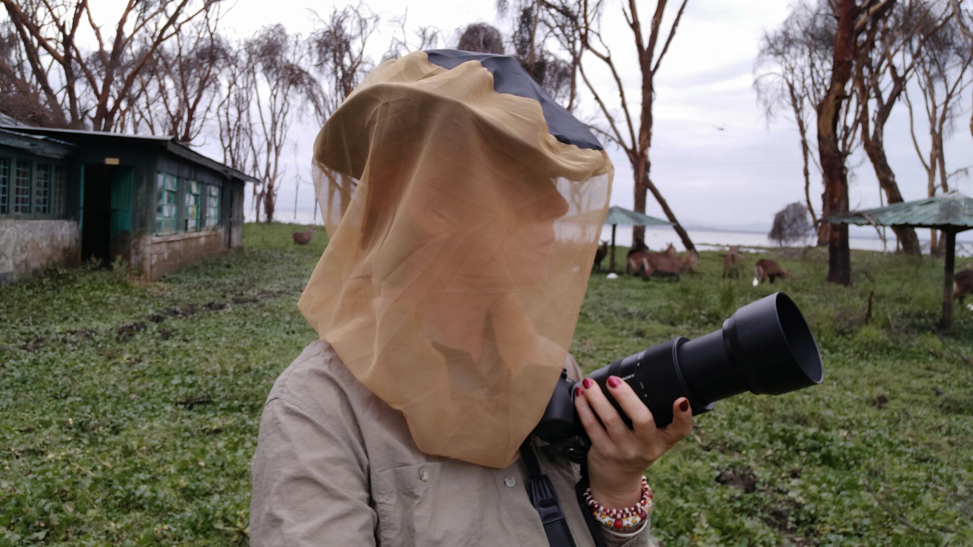 HEAD net desert live HEAD Net / desert - obrazek 1