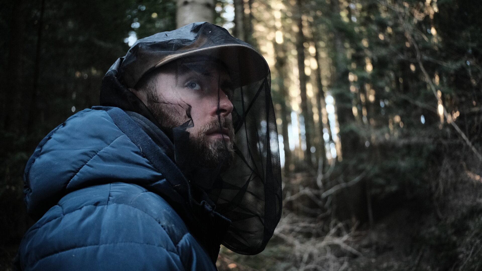 Head net black live Head net black live