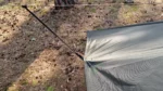 EASY Tarp 3x3 green - obrazek 5